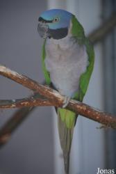 Vogelpark De Lorkeershoeve