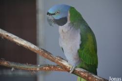 Vogelpark De Lorkeershoeve