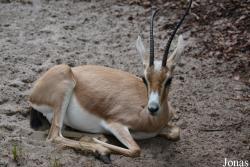 Zoo Landau in der Pfalz