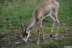 Zoo Landau in der Pfalz
