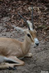 Zoo Landau in der Pfalz