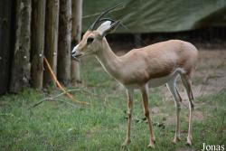 Zoo Landau in der Pfalz