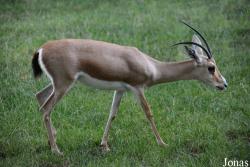 Zoo Landau in der Pfalz