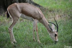 Zoo Landau in der Pfalz