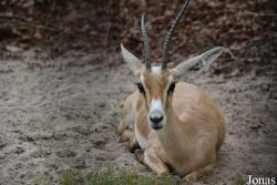 Zoo Landau in der Pfalz