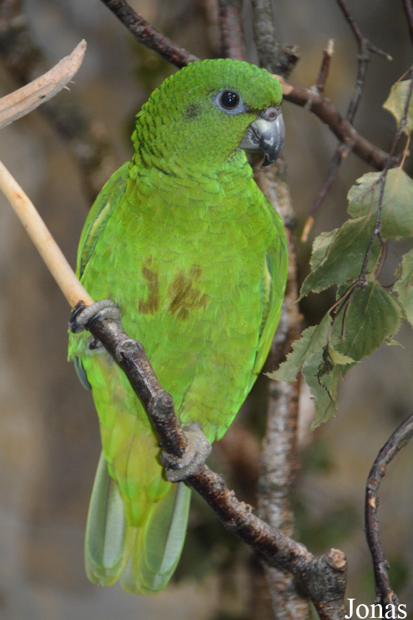 Zoo Wuppertal