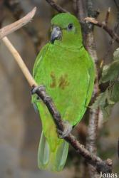 Zoo Wuppertal