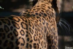 Zoo Wuppertal