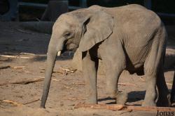 Zoo Wuppertal