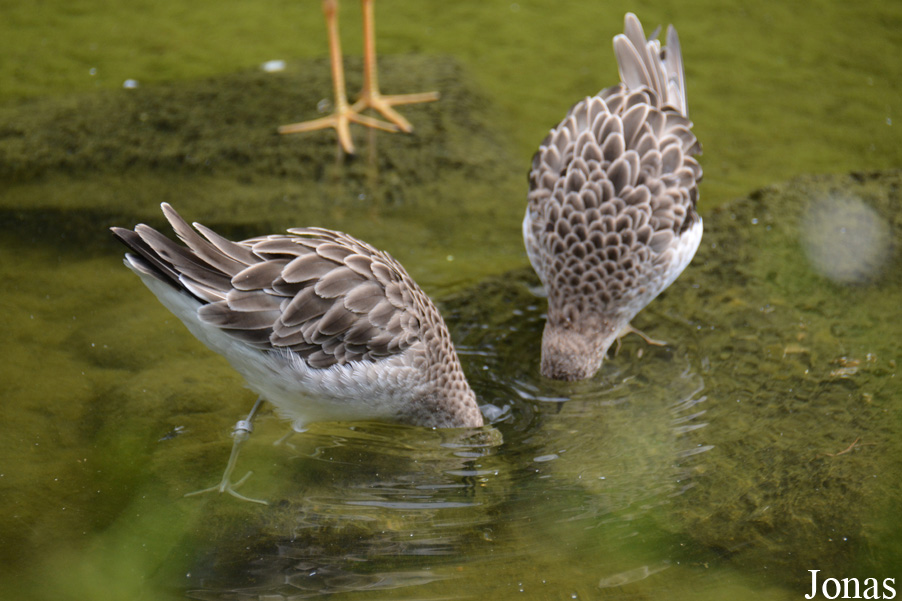 NaturZoo Rheine