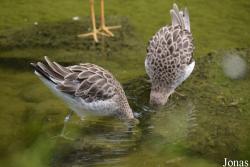 NaturZoo Rheine