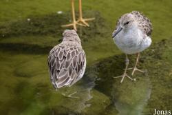 NaturZoo Rheine