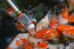 Taipingyang Underwater World Exhibition