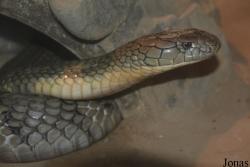 Beijing Zoological Gardens
