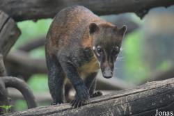 Beijing Zoological Gardens