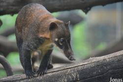 Beijing Zoological Gardens