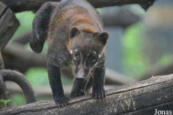 Beijing Zoological Gardens