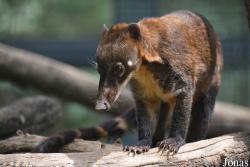 Beijing Zoological Gardens