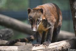 Beijing Zoological Gardens
