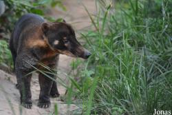 Beijing Zoological Gardens