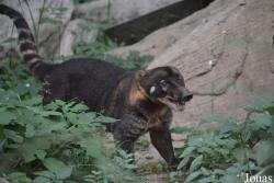 Beijing Zoological Gardens
