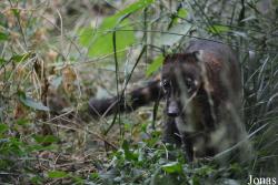 Beijing Zoological Gardens