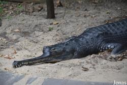 Smithsonian National Zoological Park