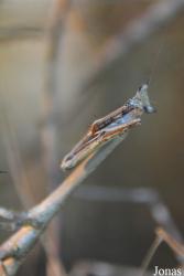 Ogród Zoologiczny w Poznaniu Nowe Zoo