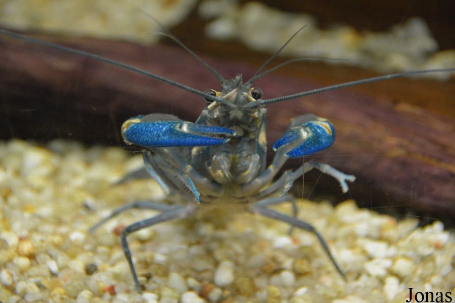 Miejski Ogród Zoologiczny w Łódzi