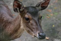 Miejski Ogród Zoologiczny w Łódzi