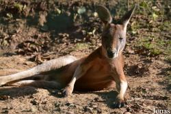 Rivne Zoo