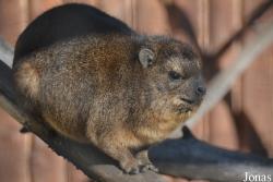 Ogród Zoologiczny im. Stefana Milera w Zamościu