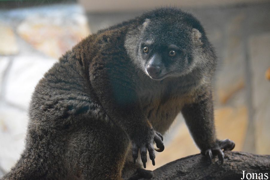 Zoo Wrocław