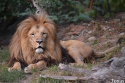 Zoo Wrocław