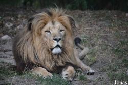 Zoo Wrocław
