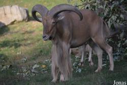 Zoo Wrocław