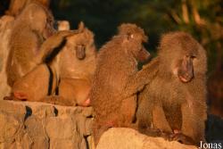 Zoo Wrocław