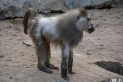 Zoo Wrocław