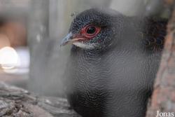 Zoo Wrocław
