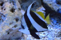 Erlebnispark Meeresaquarium Zella-Mehlis
