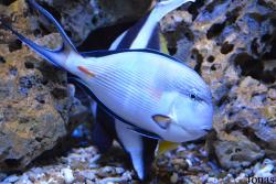 Erlebnispark Meeresaquarium Zella-Mehlis