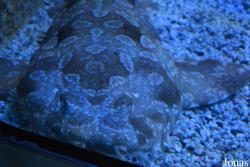 Erlebnispark Meeresaquarium Zella-Mehlis