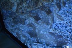 Erlebnispark Meeresaquarium Zella-Mehlis