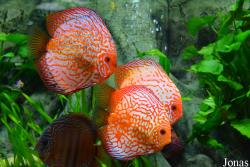 Erlebnispark Meeresaquarium Zella-Mehlis