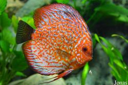 Erlebnispark Meeresaquarium Zella-Mehlis