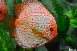 Erlebnispark Meeresaquarium Zella-Mehlis