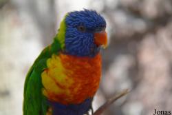 Tierpark Suhl