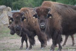Thüringer Zoopark Erfurt