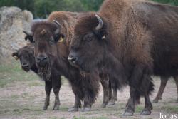 Thüringer Zoopark Erfurt