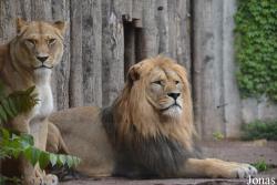 Thüringer Zoopark Erfurt